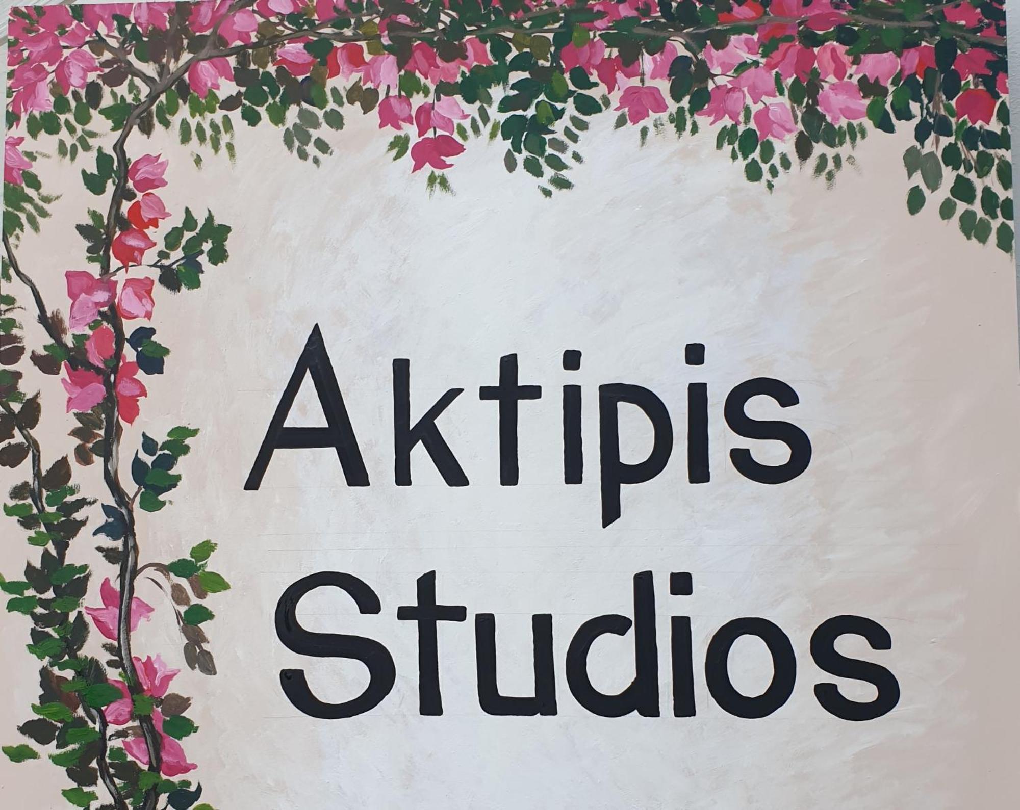 Aktipis Studios Argassi Esterno foto